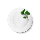 CreaTable - EUROPA KRÄUTER - Pastateller BASILIKUM 27 cm aus Porzellan