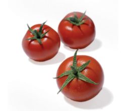 Servietten PURE TOMATOES 33 x 33 cm