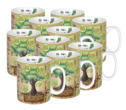 10er SET KÖNITZ 1113302443 Wissensbecher BÄUME 490 ml aus Porzellan / Motivbecher
