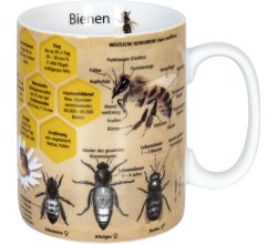 KÖNITZ 1113302445 Wissensbecher BIENE 490 ml aus Porzellan / Motivbecher