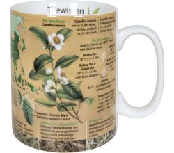 KÖNITZ 1113302638 Wissensbecher TEEWISSEN 490 ml aus Porzellan / Motivbecher