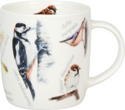 KÖNITZ 1172752976 Becher Natures Diversity - SINGVÖGEL 400 ml aus Bone China Porzellan / Artenvielfalt