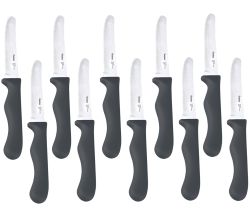 10er SET METALTEX 248132029 CHROMOTHERAPY Basic Brotzeitmesser 21,5 cm - grau