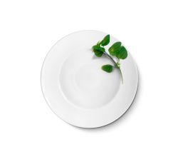 CreaTable - EUROPA KRÄUTER - Pastateller BASILIKUM 27 cm aus Porzellan