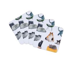 Maxwell & Williams GI0324 Untersetzerset 4-tgl. FELINE FRIENDS  10,5 cm, MDF, in Geschenkbox